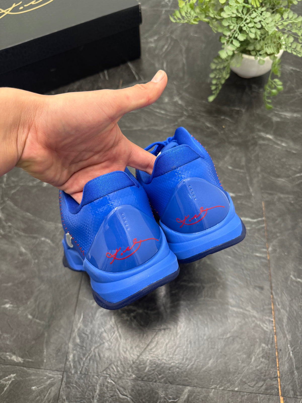 Kobe 5 Protro Dodgers SZ: 10.5M - Pre-Owned