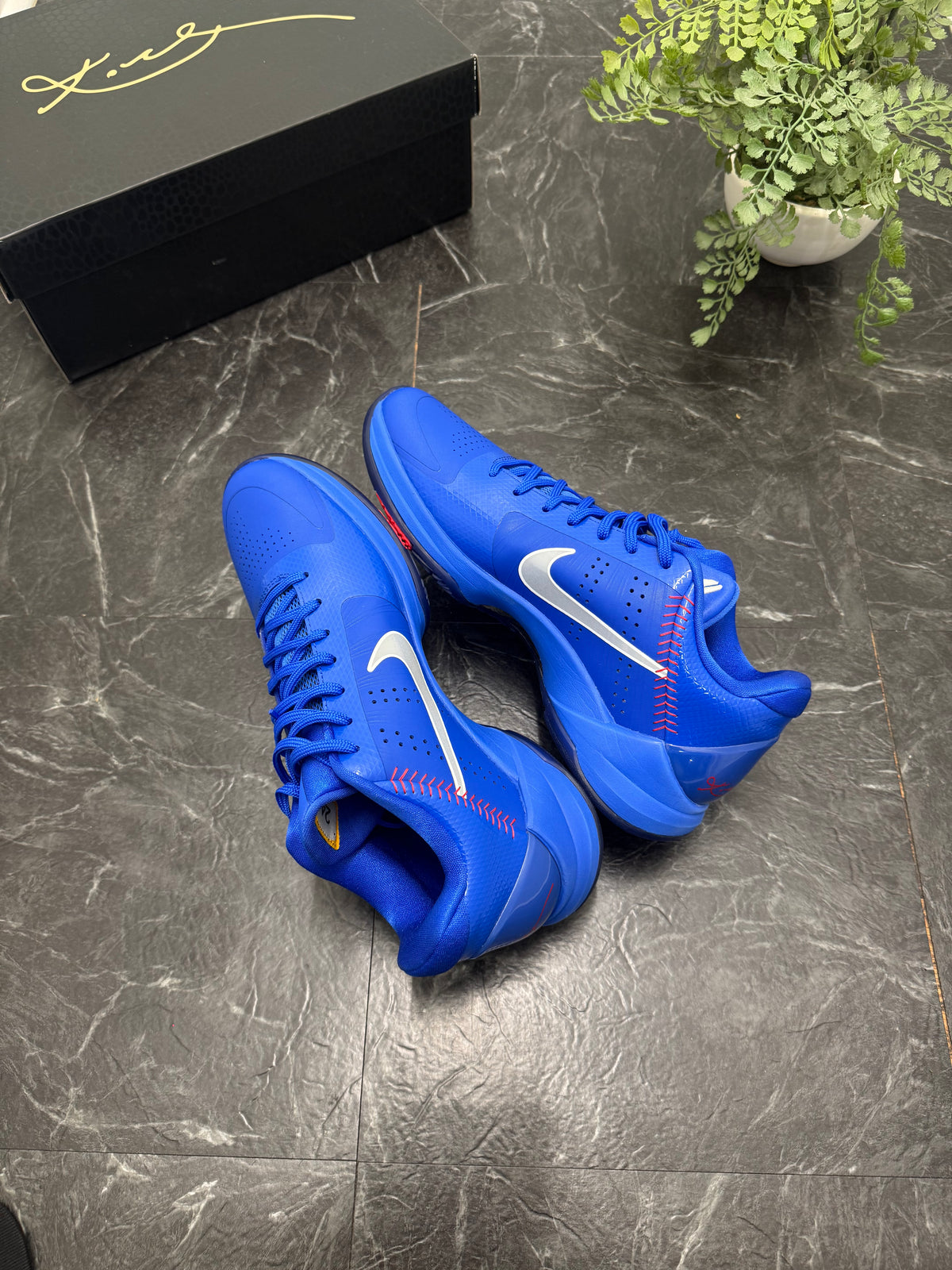 Kobe 5 Protro Dodgers SZ: 10.5M - Pre-Owned