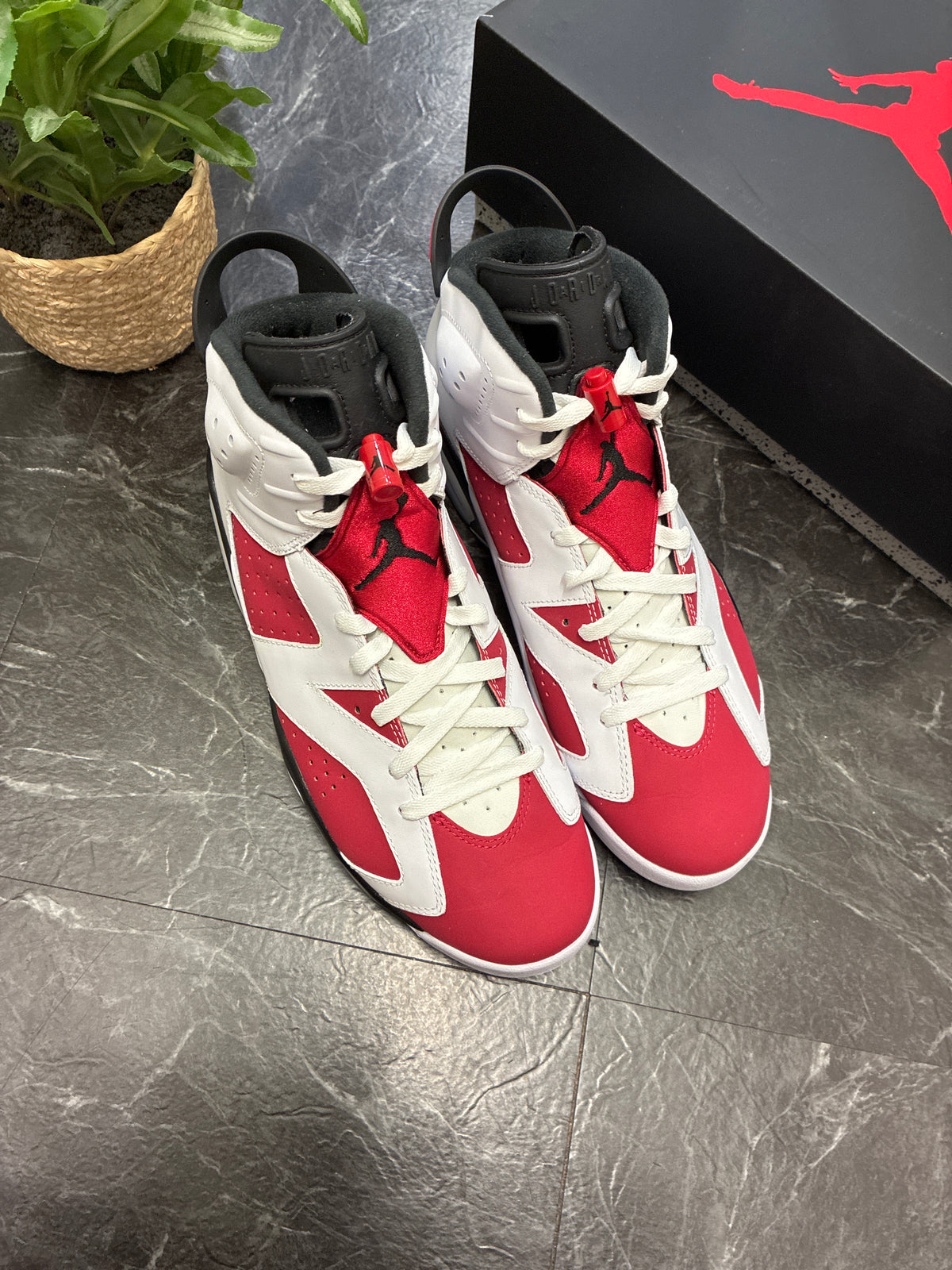 Jordan 6 Carmine 2021 SZ: 12M - Pre-Owned