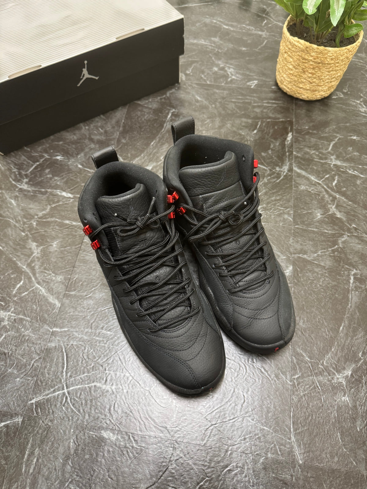 Jordan 12 Bloodline | SZ: 9M | Pre-Owned