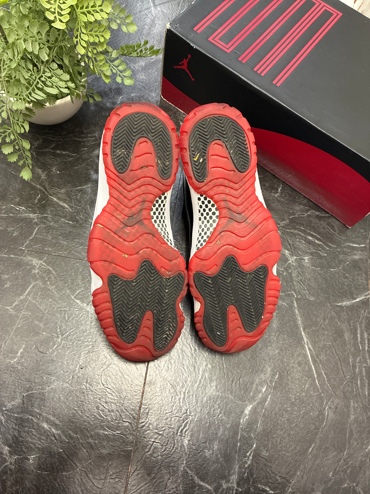 Jordan 11 Bred 2019 SZ: 11M - Pre-Owned