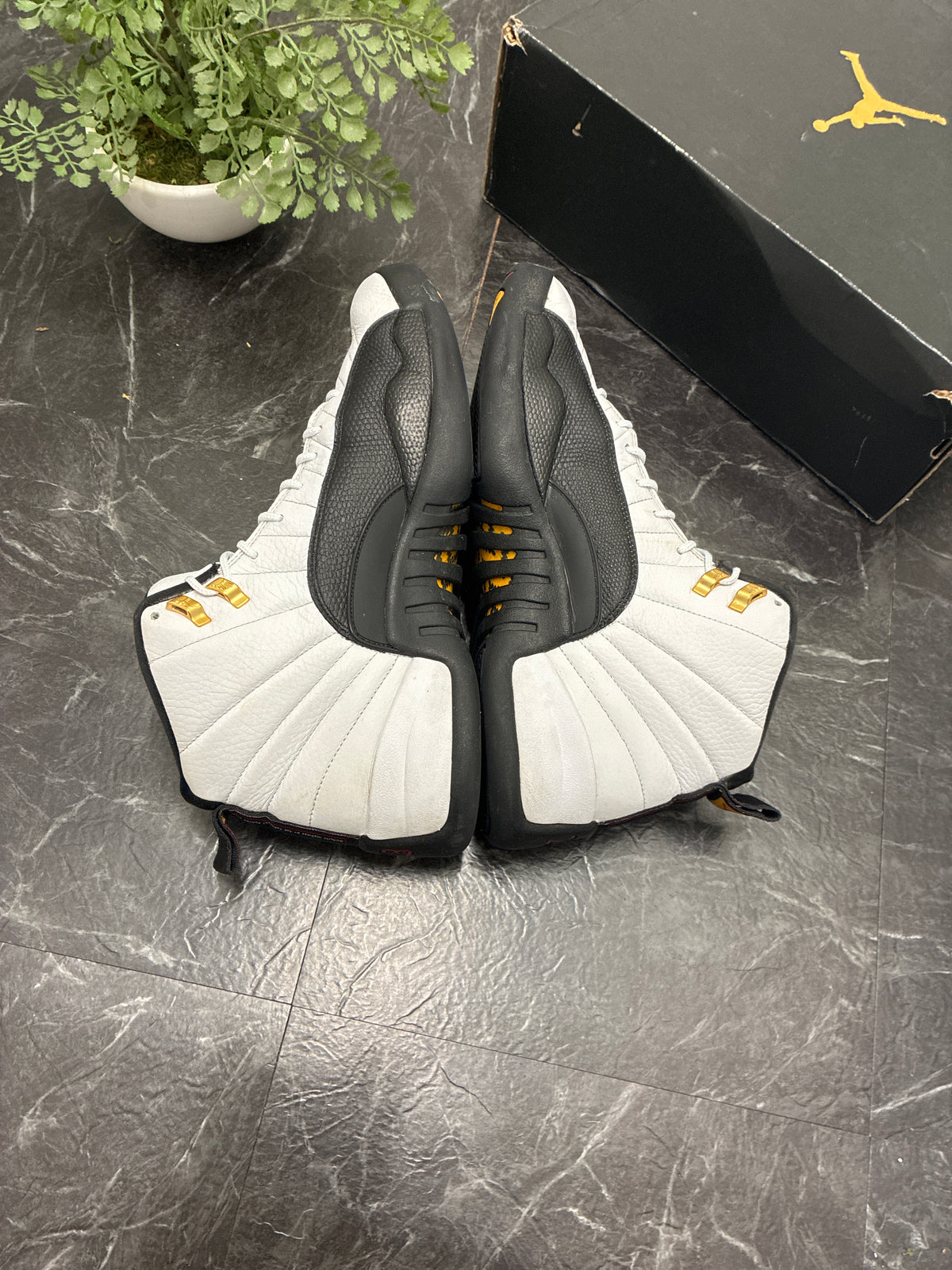 Jordan 12 Taxi 2013 SZ: 13M - Pre-Owned