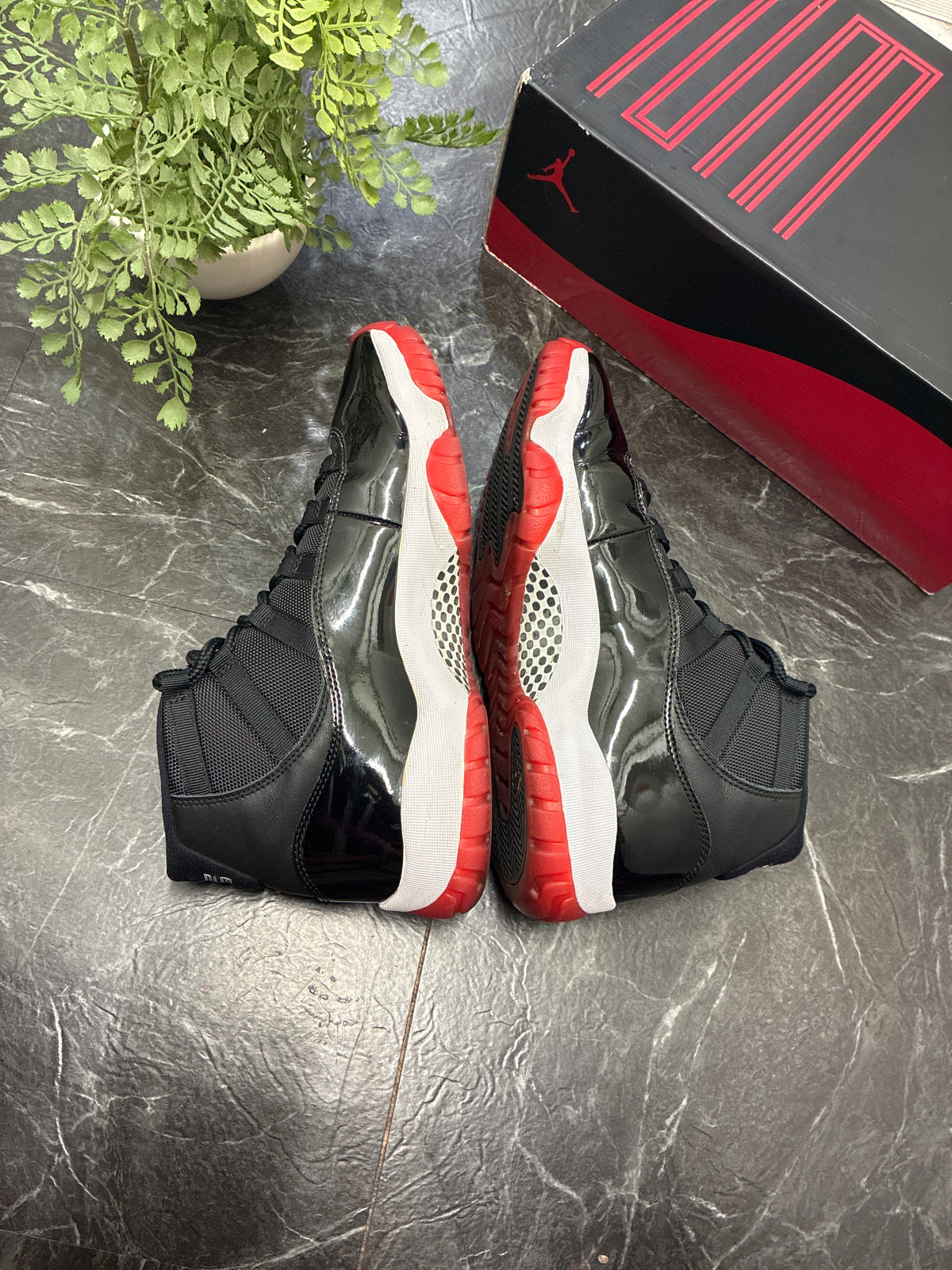 Jordan 11 Bred 2019 SZ: 11M - Pre-Owned