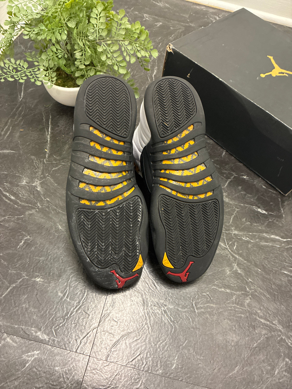 Jordan 12 Taxi 2013 SZ: 13M - Pre-Owned