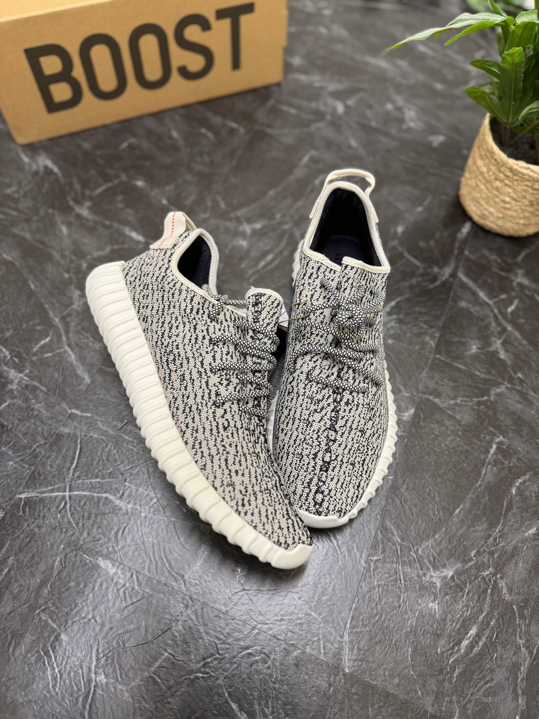 Yeezy Boost 350 V2 Turtle Dove 2022 SZ: 13M - New