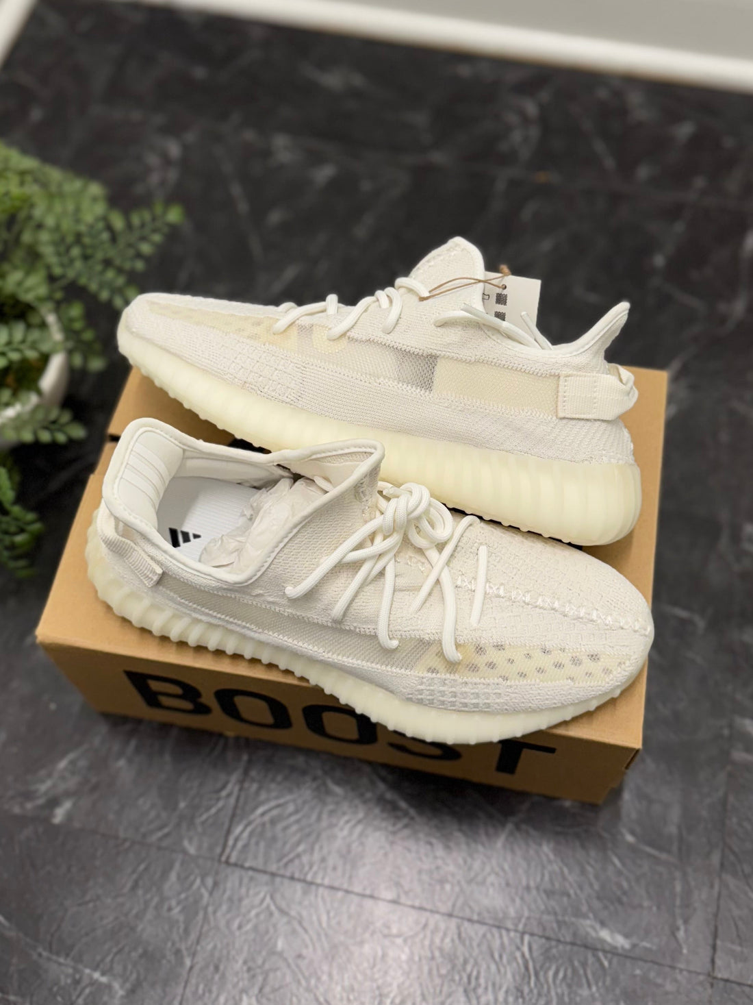 Yeezy Boost 350 V2 Bone SZ: 11M - New