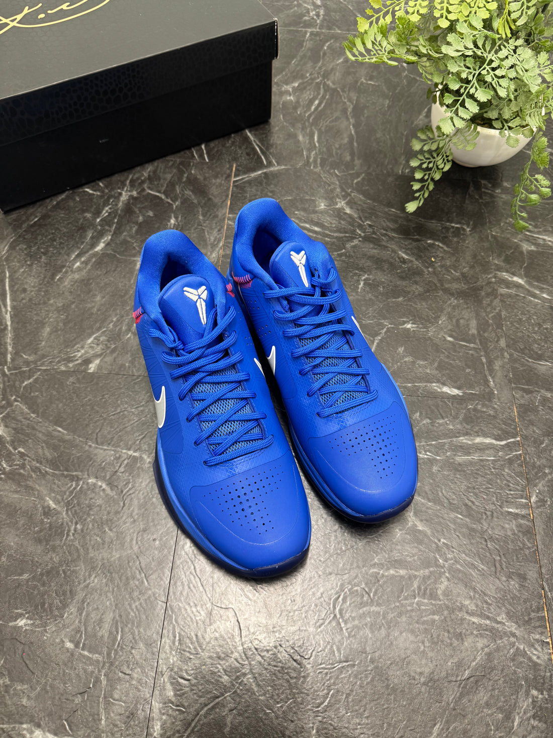 Kobe 5 Protro Dodgers SZ: 10.5M - Pre-Owned