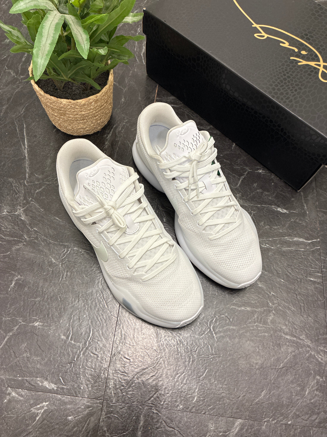Kobe 10 Protro Low Halo SZ: 11M