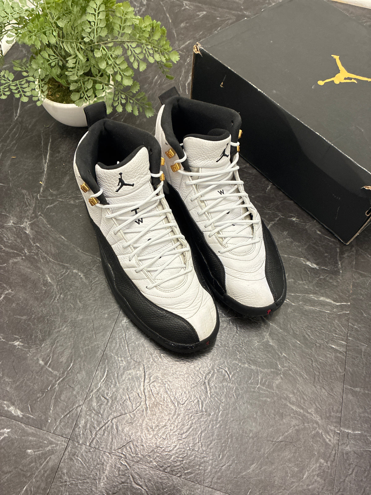Jordan 12 Taxi 2013 SZ: 13M - Pre-Owned
