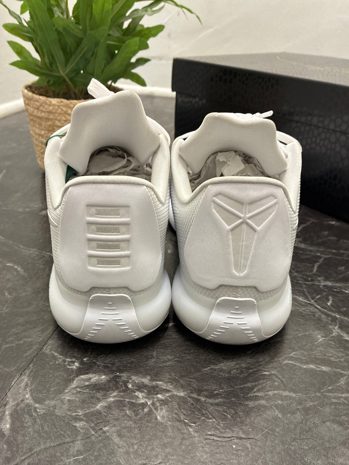 Kobe 10 Protro Low Halo SZ: 11M