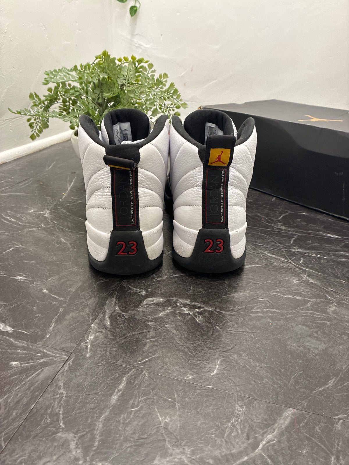 Jordan 12 Taxi 2013 SZ: 13M - Pre-Owned