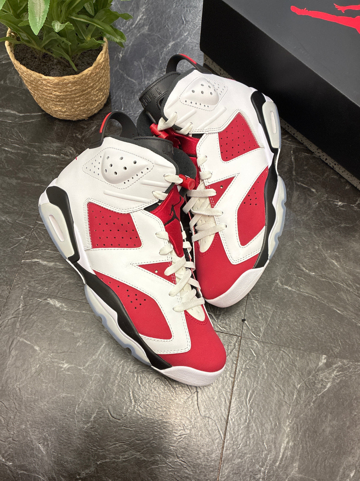 Jordan 6 Carmine 2021 SZ: 12M - Pre-Owned