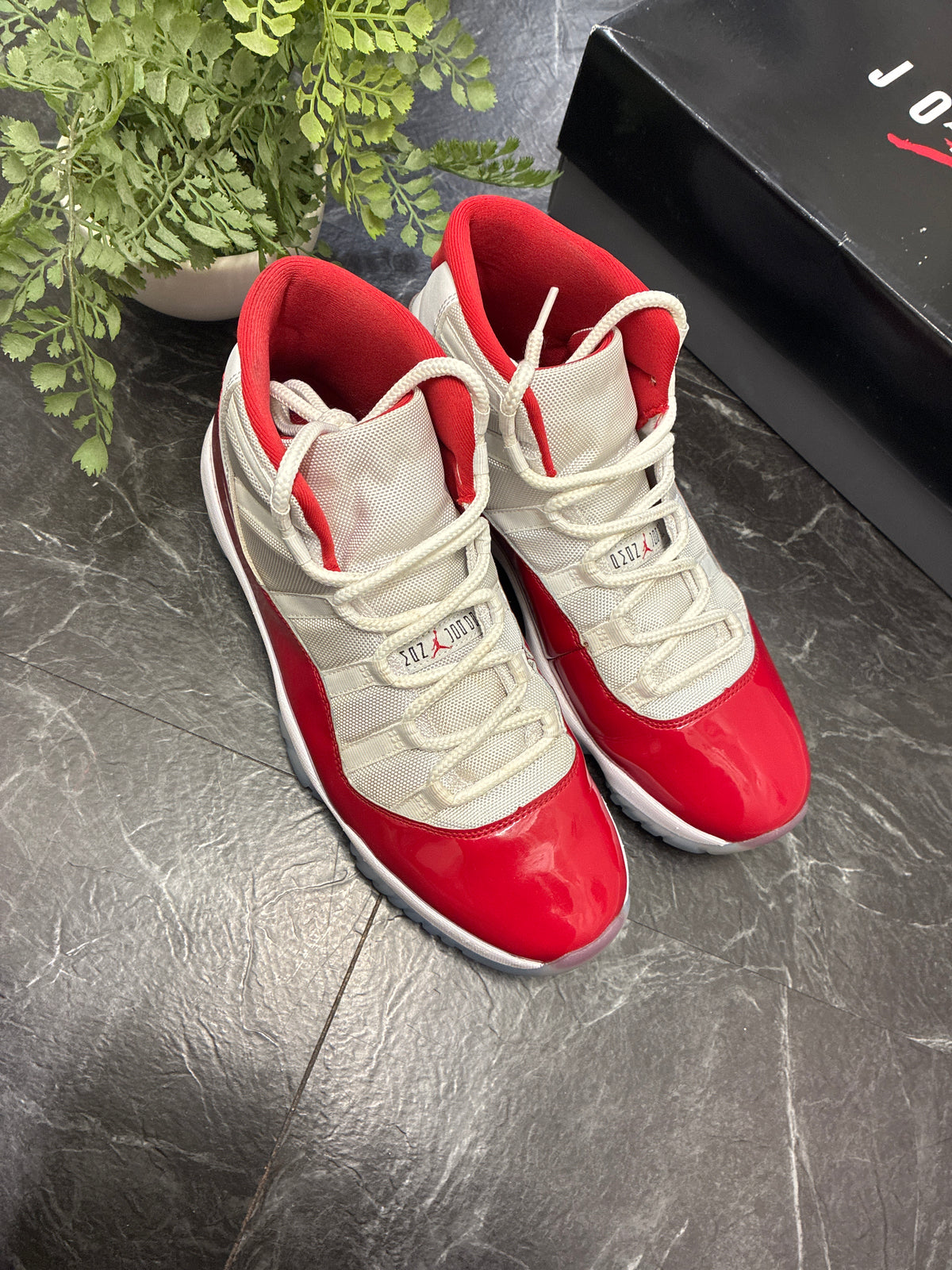 Jordan 11 Cherry 2022 SZ: 11M - Pre-Owned